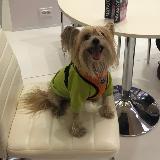 Аватарка канала Ветеринарная клиника «МИР ЖИВОТНЫХ» Мариуполь.