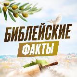 Аватарка канала Библейские факты 🕊