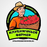 Аватарка канала Клубничный фермер