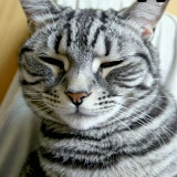 Аватарка канала Updater