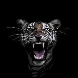 Аватарка канала ʙᴀʟᴇɴᴄɪᴀɢᴀ