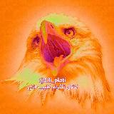 ریمیکس ترکی آهنگ های کوردی نوستالژی avatar