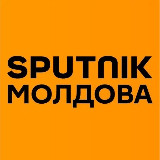 Sputnik Молдова avatar