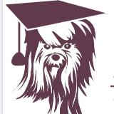 Аватарка канала Академия груминга «Милорд»