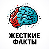 Жесткие факты avatar