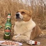 Аватарка канала Исповедь девоПса