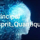 Аватарка канала Esprit Quantique Principal