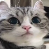 Аватарка канала Ворк в крипте, только хардкор