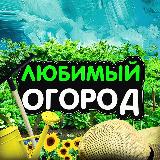 Аватарка канала Любимый огород