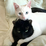 Аватарка канала Movies Zone Store