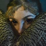 Аватарка канала Rtd art