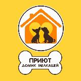 Аватарка канала Домик Мелкашей - приют для маленьких собак