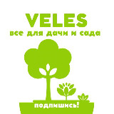Аватарка канала Питомник саженцы - Чита, Благовещенск, Якутск, Хабаровск, Улан-Удэ, Владивосток, Иркутск, Москва, Биробиджан доставка 🚚