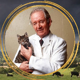 Аватарка канала Джеймс Хэрриот, всеми любимый ветеринар