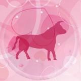 Аватарка канала Телец 💕 Любовный гороскоп