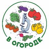 Аватарка канала В огороде