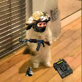 Аватарка канала "Розыгрыши | CS2"