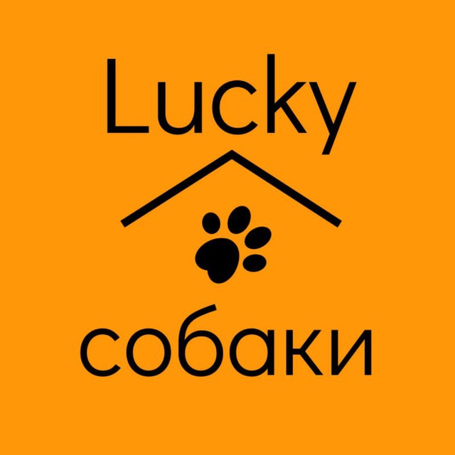 Аватарка канала Lucky собаки🐶🧡