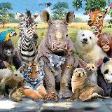 Аватар канала 2159360934