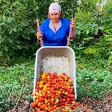 Аватарка канала ЛЕНКИН ОГОРОД