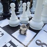 Аватарка канала Белка Булка читает. Детские книги, обучение, развитие, психология.