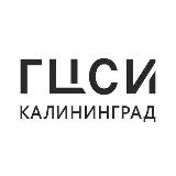 Аватарка канала Балтийский филиал Пушкинского музея