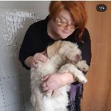 Аватарка канала Svyatobor161