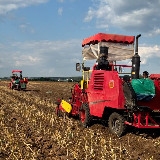 Аватарка канала АгроЧеснок 🇷🇺