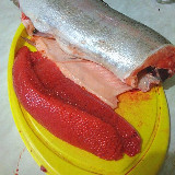 Аватарка канала Форель из Карелии и Мурманска и другие продукты