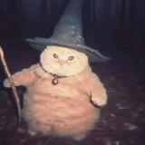 Аватарка канала Опросы Слинкса