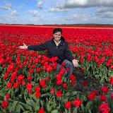 Аватарка канала Domenika Flowers