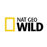 Аватарка канала NAT GEO WILD