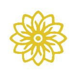 Аватарка канала Благодійний фонд Вадима Столара