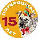 Аватарка канала Потеряшки | Помощь животным