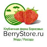 Аватарка канала Клубничная ферма Борисовых "berrystore.ru"