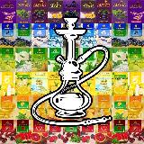 Аватарка канала Гендерфлюидный вертосексуал