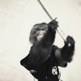 Аватарка канала "katana"