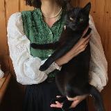 Аватар канала 1611354536