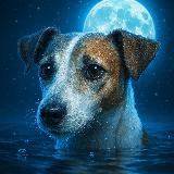 Аватарка канала Питомцы от Элли 🐶 Домашние животные