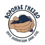 Аватарка канала "Воронье Гнездо" - помощь птицам