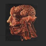 Аватарка канала Медицина 18+