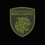 Аватарка канала БАРС-Курск
