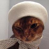 Аватарка канала French Cat / французский язык