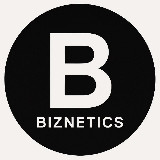 Biznetics | AI для бизнеса avatar