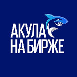 Акула на Бирже avatar