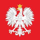 Аватарка канала Польский в опросах 🇵🇱 n+1