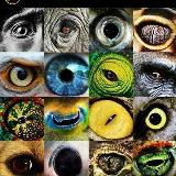 Аватар канала 1283314358