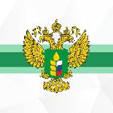 Аватар канала 1667046655