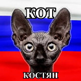 Аватарка канала Кот Костян - официальный канал🇷🇺