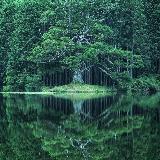 Аватарка канала Парки мира